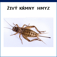 živý kŕmny hmyz